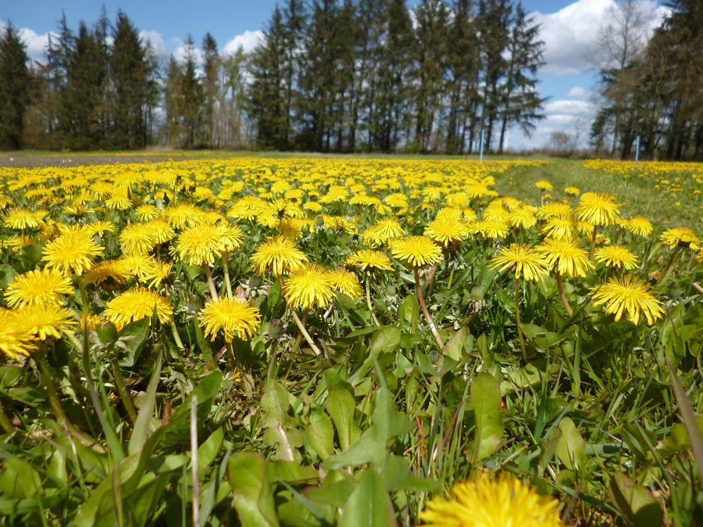 Ferienwohnung Rossenhof Weesby Kültér fotó